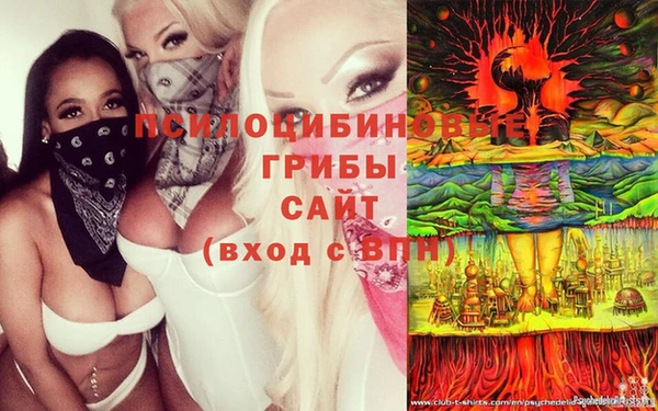 мяу мяу кристалл Медвежьегорск