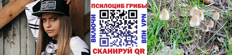 Купить где  Юхнов  Псилоцибиновые грибы MAGIC MUSHROOMS 